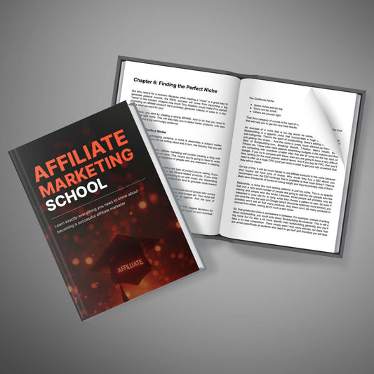 Affiliate Marketing School